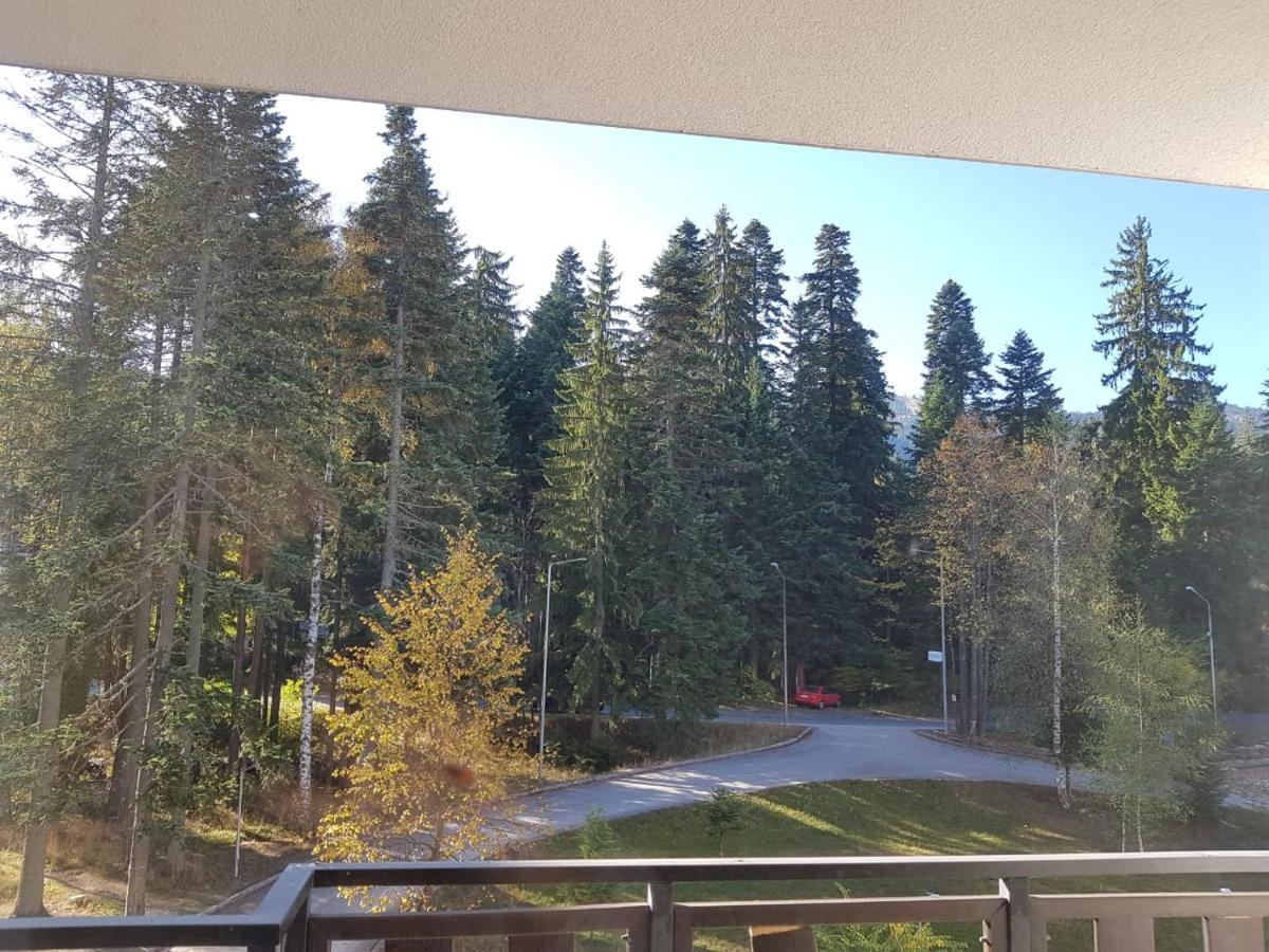Apartments In Borovets Gardens Luaran gambar